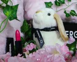 She endorses Covergirl makeup accessories through her Instagram and Youtube channel.